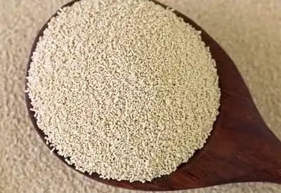 ยีสต์ดำ (Polycan) ช่วยบำรุงกระดูกอ่อน